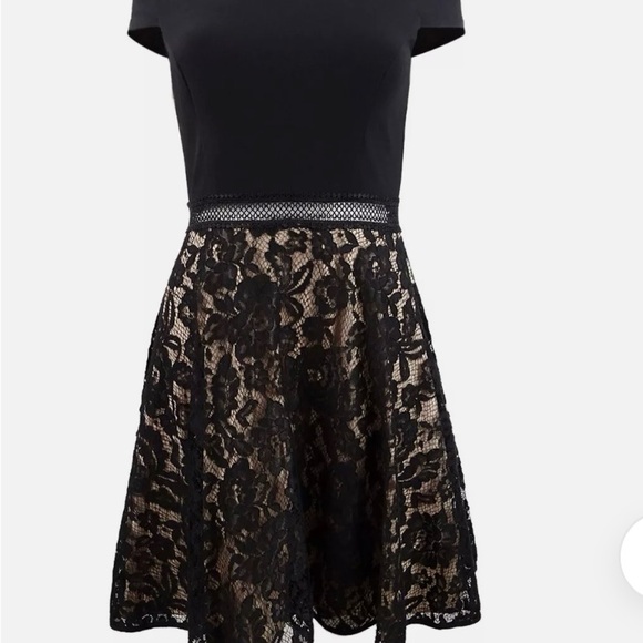 Xscape off the shoulder occasion lace fit and flare dress. Sz 10 - Picture 2 of 10